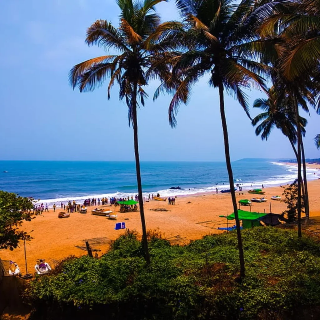 https://www.investors-heaven.com/location/goa/